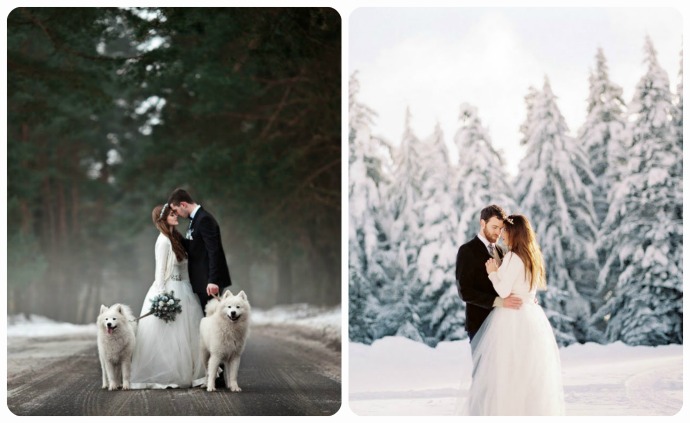 Идеи зимней свадебной фотосессии с животными